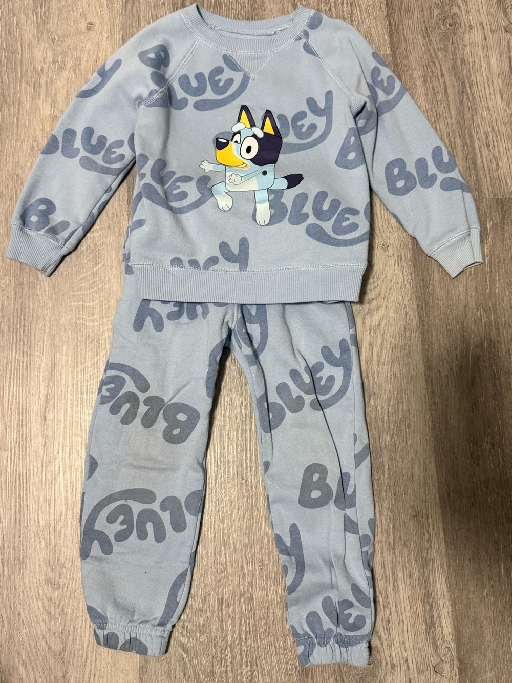 Bluey Toddler Play Set